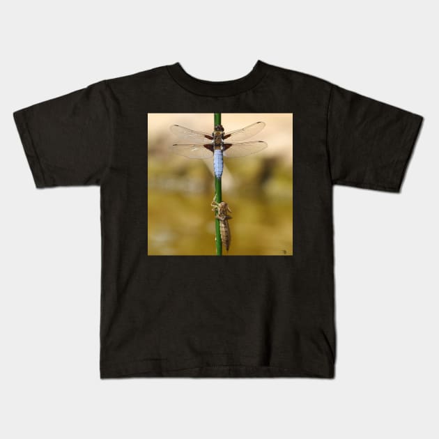 broad bodied chaser dragonfly leaving nymph case Kids T-Shirt by Simon-dell